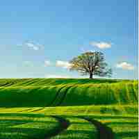 cdn 多‌节‍点​ 自﻿建​